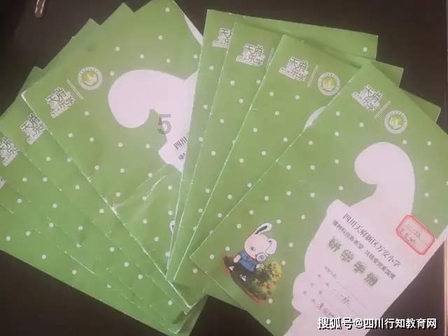 进料与粗破阶段使用的设备是什么？