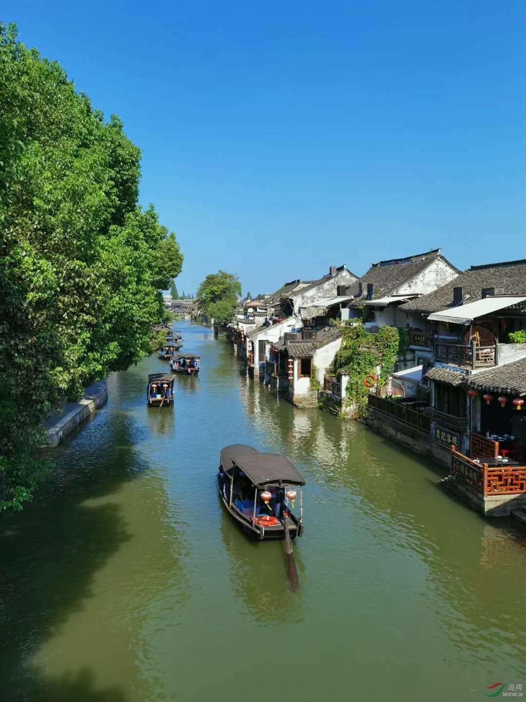 俗语云：“头生九龙骨，早晚必显贵”，其中“九龙骨”指什么？