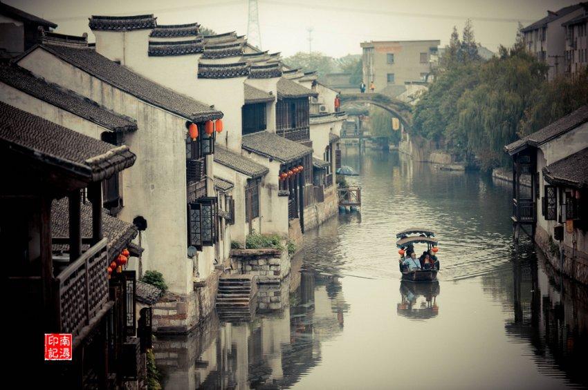 被关起来的吉娃娃为了出去，把门都给拆了，可是……